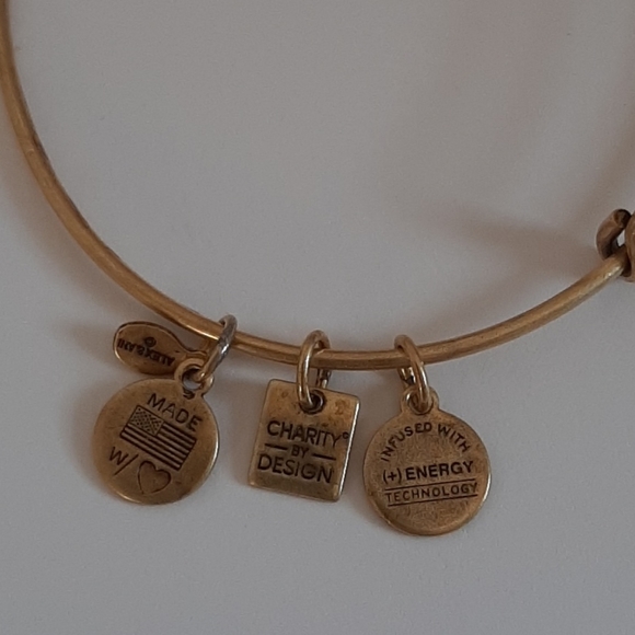 Alex and Ani Charity By Design Gold "Arms of Strength" Starfish Charm Bangle - Picture 5 of 7